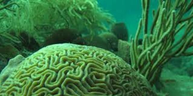 limnologia en europa