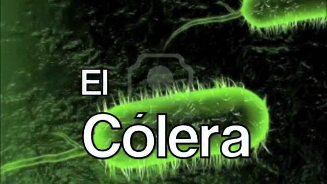 Primer estudio epidemologico del cólera