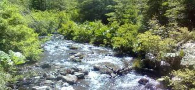 estratificación térmica