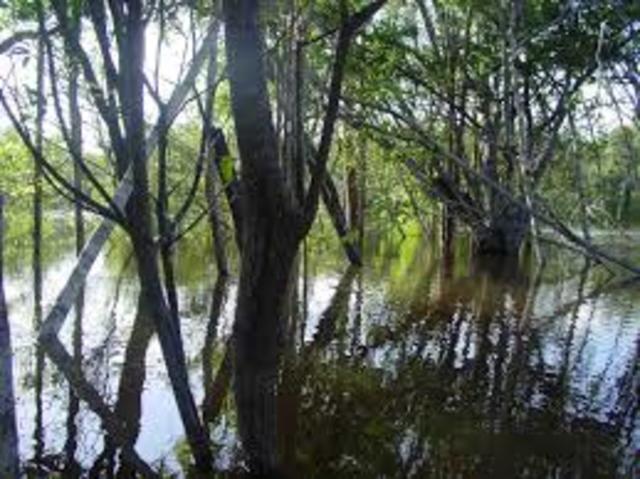 análisis en la limnología en lostrópicos.