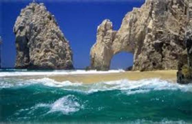 primera clasificación de organismos microscópicos