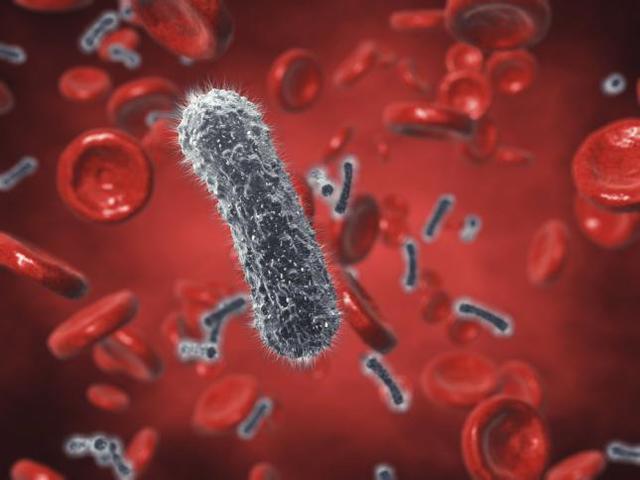 ROBERT KOCH descubre el bacilo