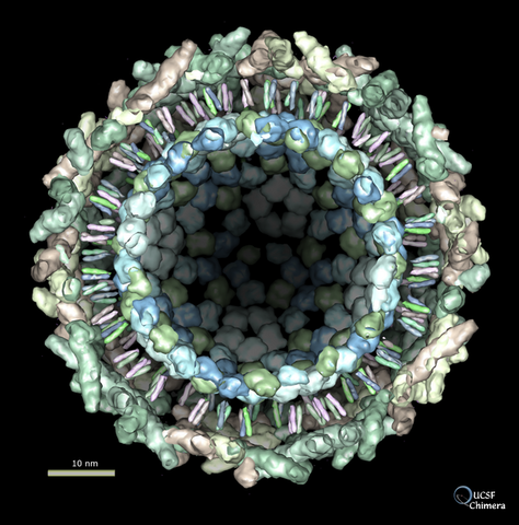 cristalizacion del virus del mosaico de tabaco