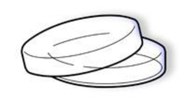 Se desarrollan las cajas de petri