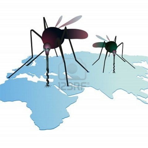 se observa que la fiebre amarilla la producen los mosquitos