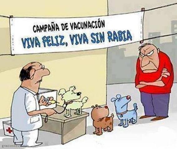 vacuna contra   la rabia