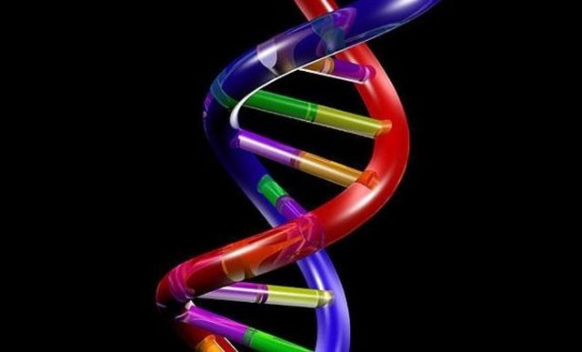 Estructura del ADN - James Watson,Francis Crick y Rosalind Franklin.