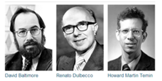 DULBECCO, TEMIN Y BALTIMORE ¨TRANSCRIPTASA INVERSA¨