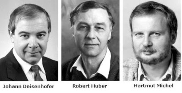 DEISENHOFER, HUBER Y MICHEL (QUÍMICOS ALEMANES): PIGMENTOS DE LA FOTOSÍNTESIS BACTERIANA.