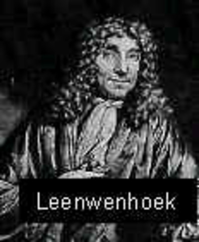 LEENWENHOEK