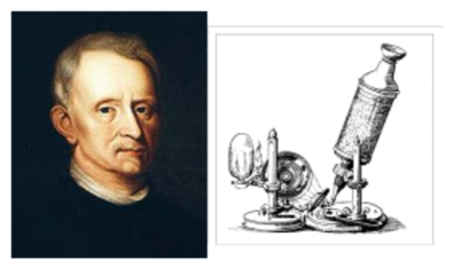 Robert hooke