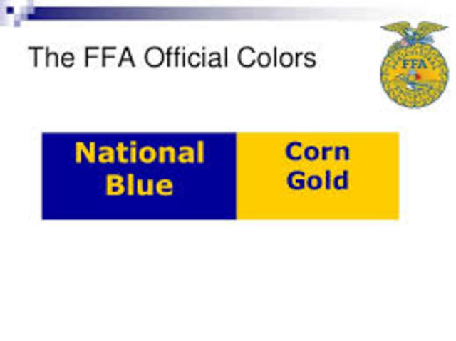 The official colors were adopted