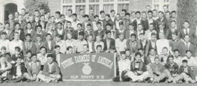 1928-  National Organization