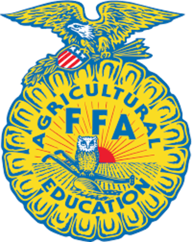 1928 FFa became National Organization