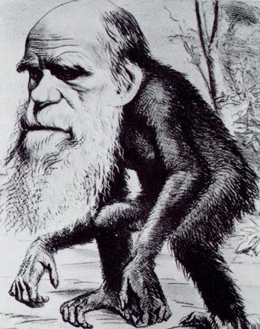 Darwin y la evolución humana