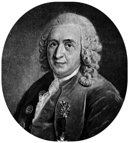 Carl von Linneo (1707 - 1778)