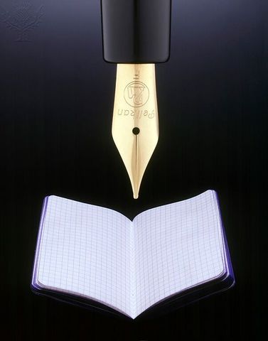 The grant for Georgia