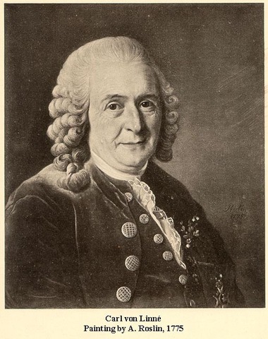 Karl Von linné