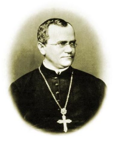 GREGOR MENDEL