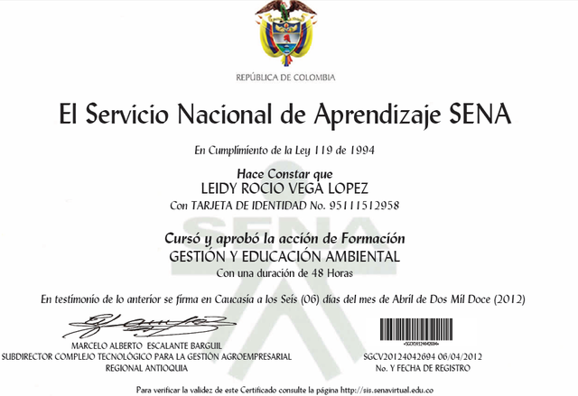 FORMACION VIRTUAL EN EL SENA