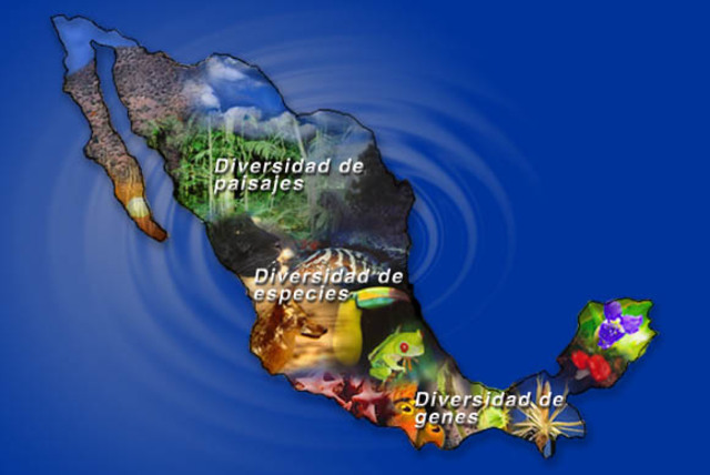 GEOGRAFÍA MÉXICANA