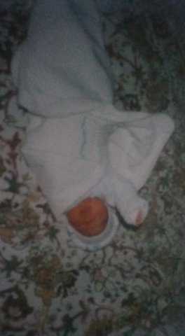 Said llega a nuestras vidas