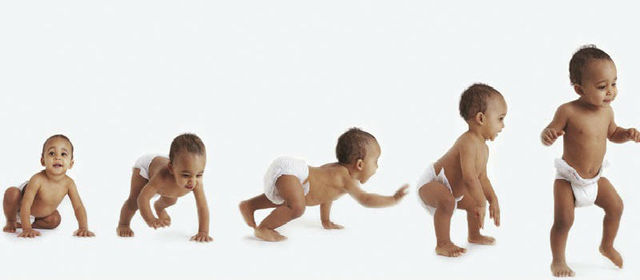 Birth until First two years (Biosocial Development)