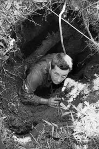 Operation Cedar Falls