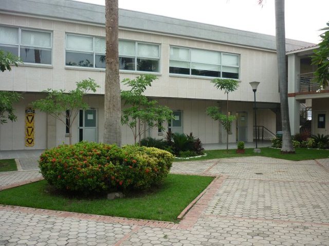 I started to study to the university