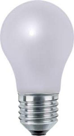 The Frosted light bulb