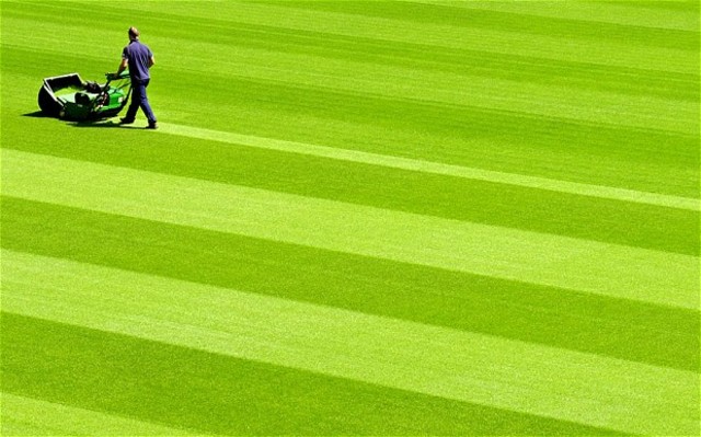 Treat Lawn Crabgrass