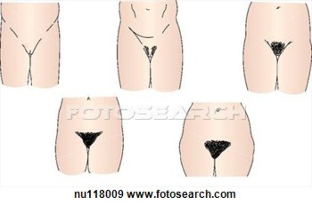 Growth of Pubic Hair