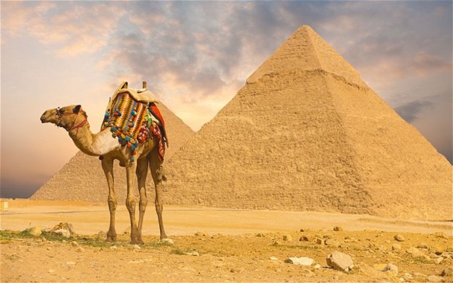 Travels to Egypt