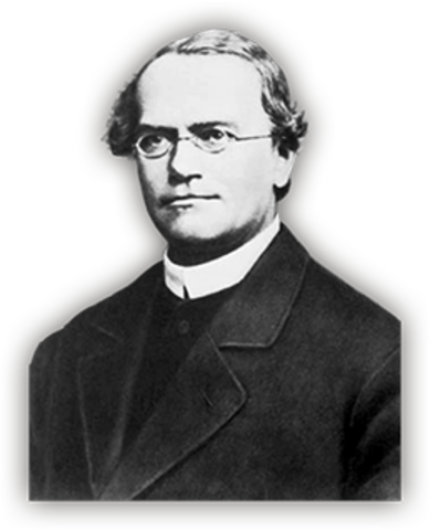 Mendel