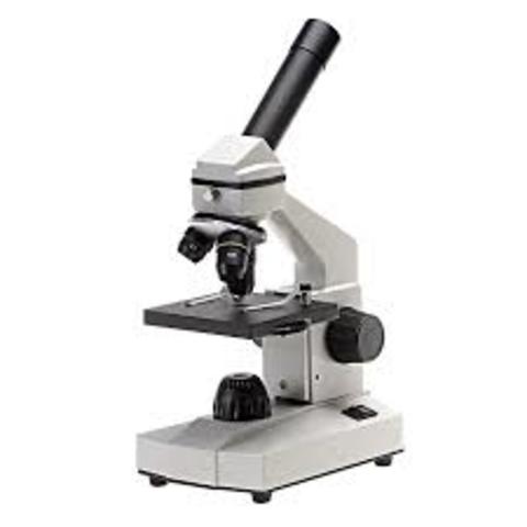 Compound Microscope