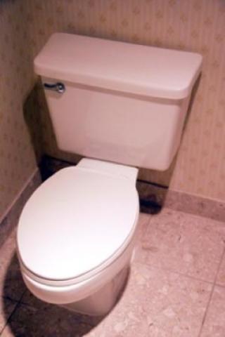 Modern flushing toilet was invented