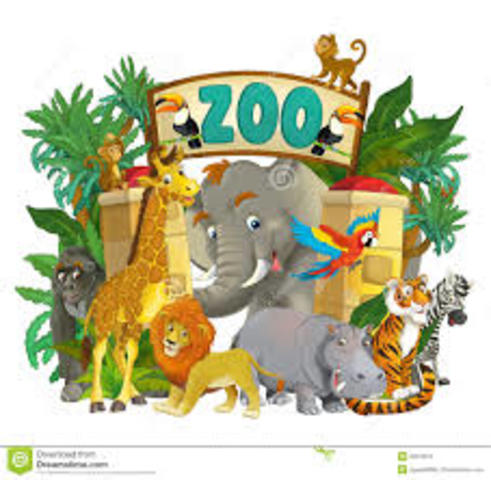 Year I went to my first zoo