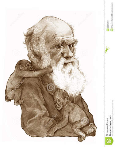 Darwin y la evolución del hombre