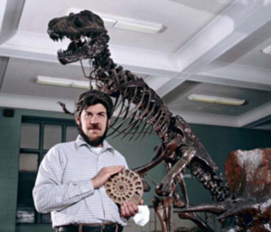 Teoría del equilibrio puntuado