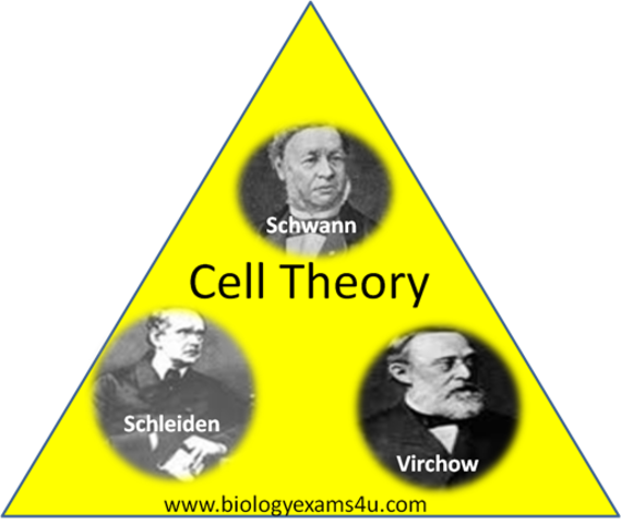Šlajden i Švan predložili teoriju ćelije