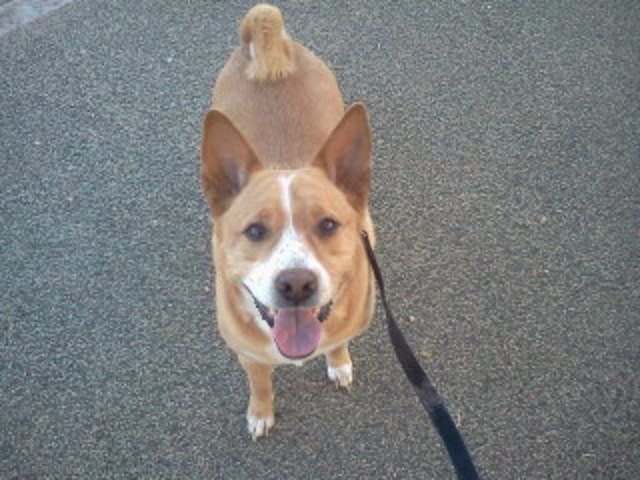 One of the saddest days of my life.