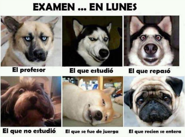 Evaluación como profesor de secuntadia I