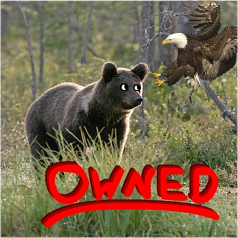 Dissolution of the USSR