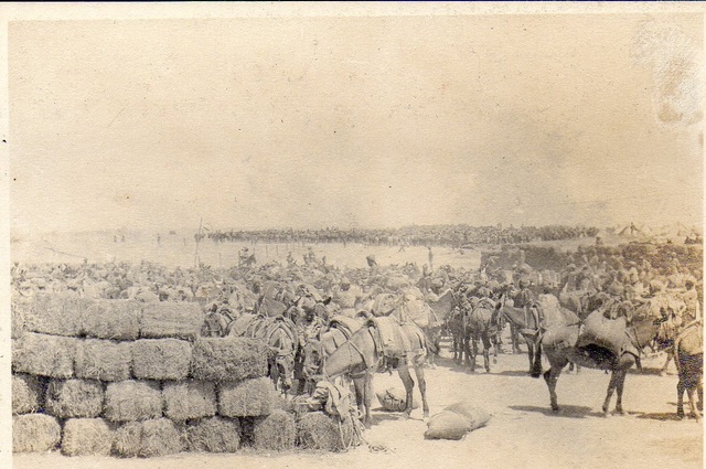 The Battle of Shaiba