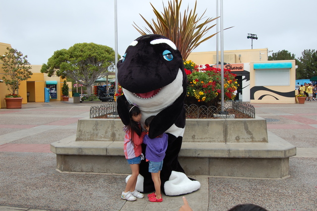 Sea World