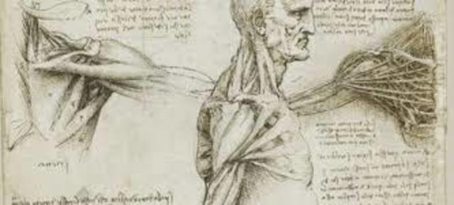 Anatomía y medicina