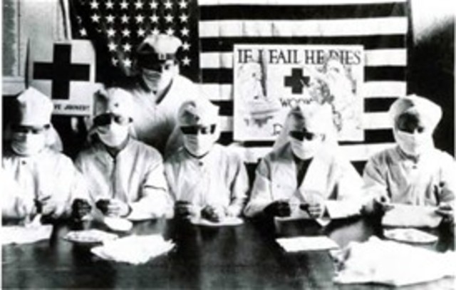 Influenza Epidemic