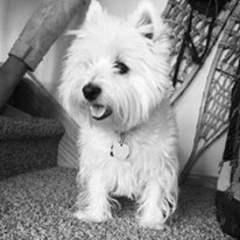 I got my first dog, Dixie