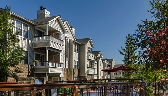 New home and New School