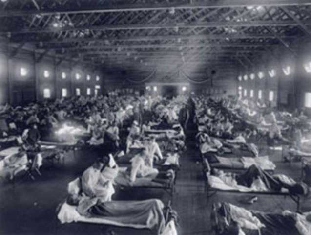 Influenza Epidemic